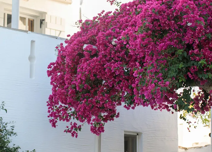 מלון Ostria Moutsoúna