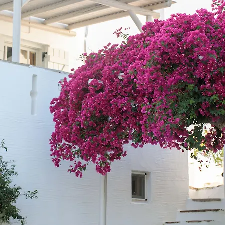 Hotel Ostria Moutsoúna